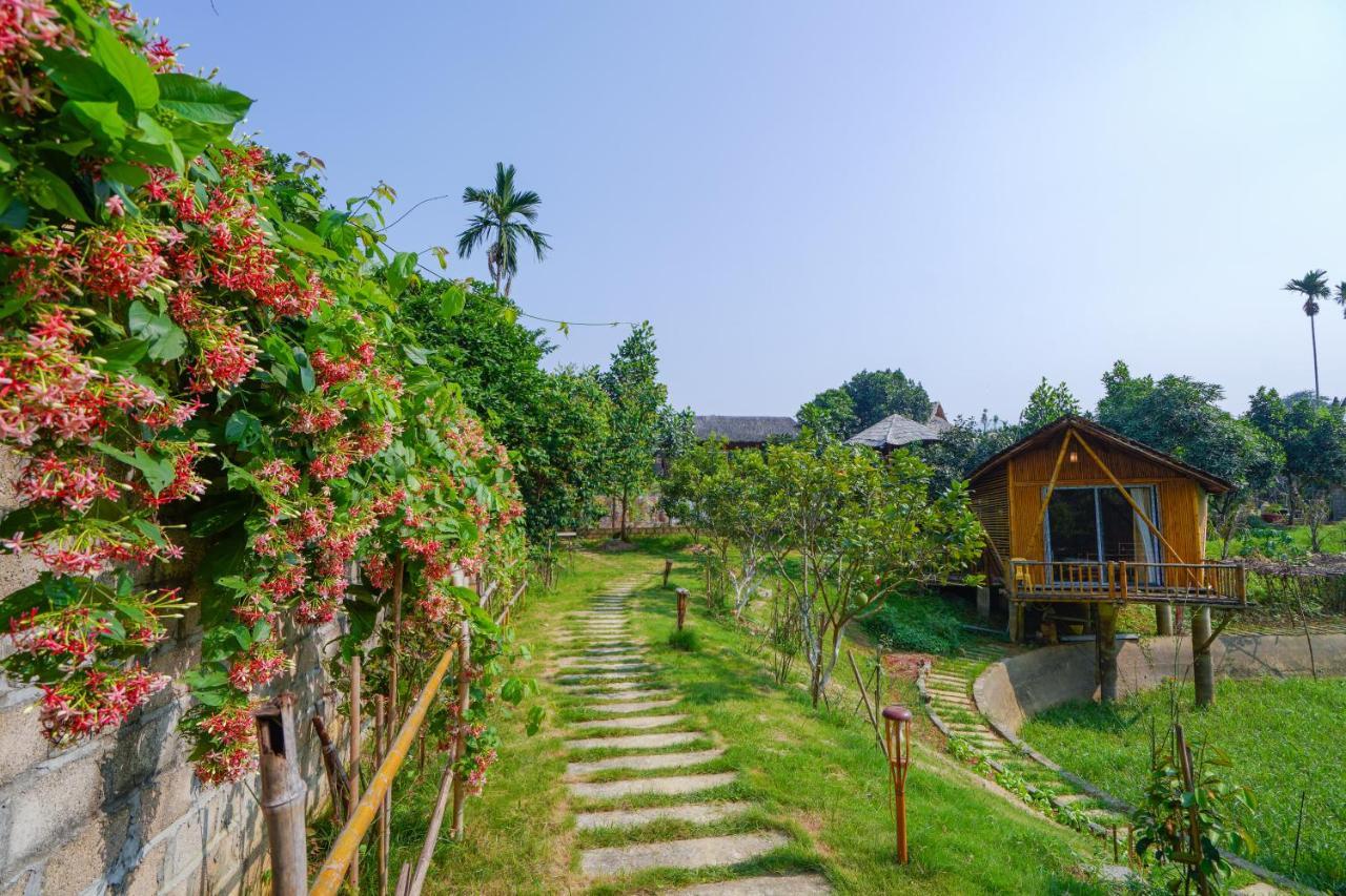 فندق Little Bee House Trai Vang المظهر الخارجي الصورة
