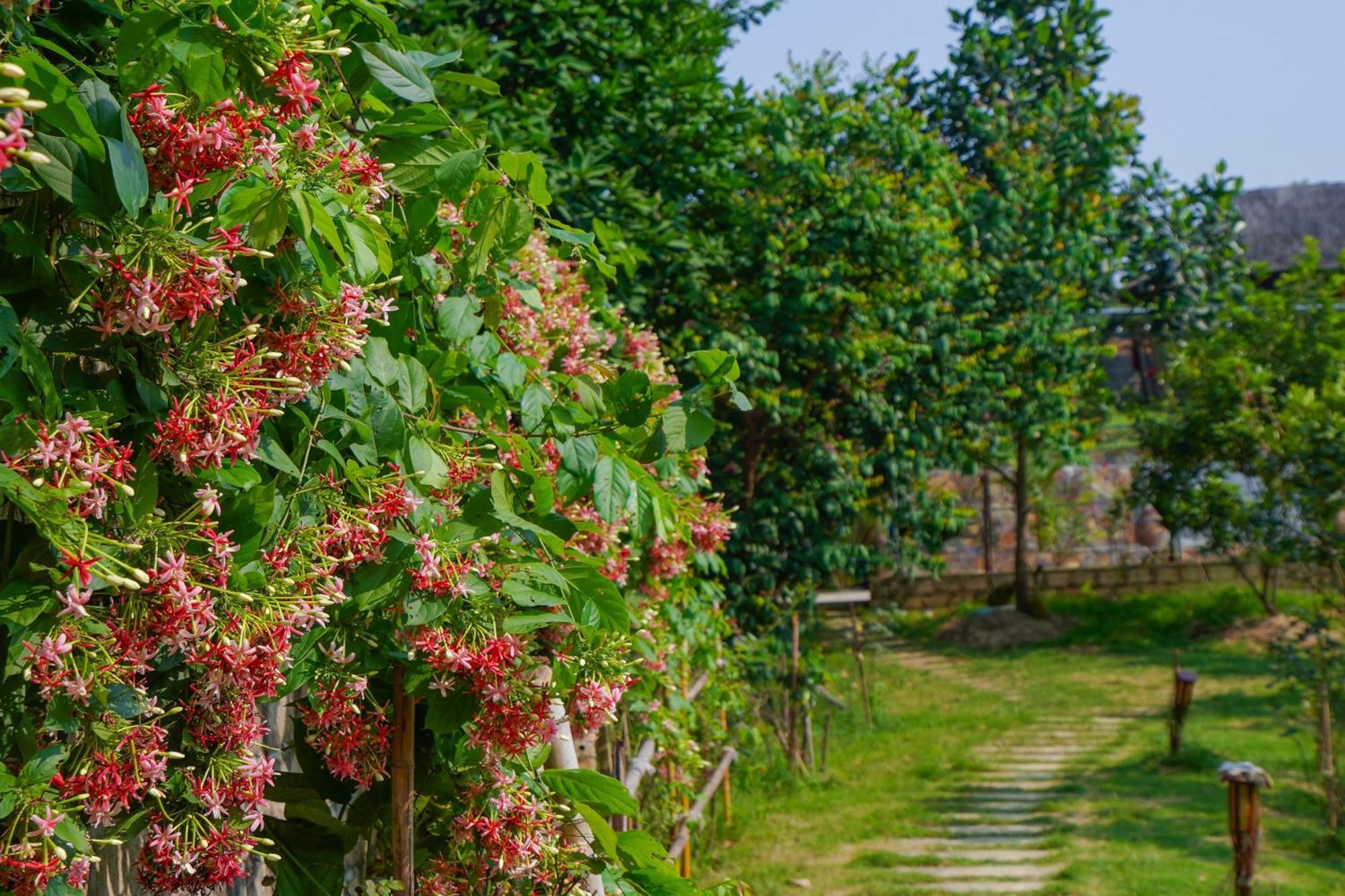 فندق Little Bee House Trai Vang المظهر الخارجي الصورة