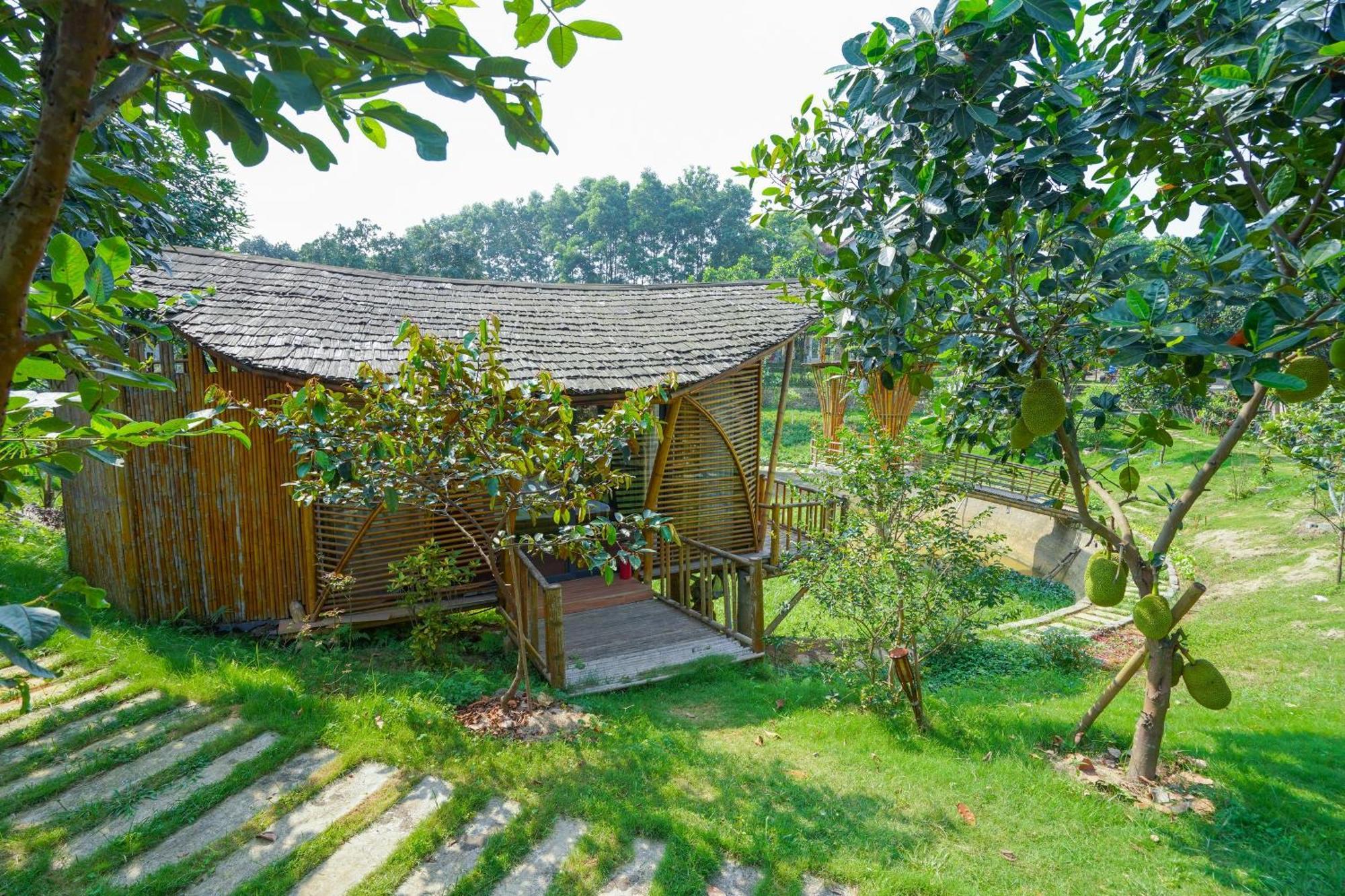 فندق Little Bee House Trai Vang المظهر الخارجي الصورة