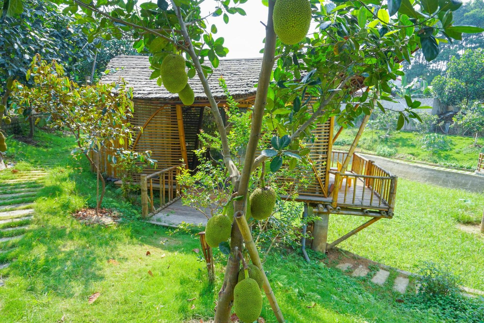 فندق Little Bee House Trai Vang المظهر الخارجي الصورة